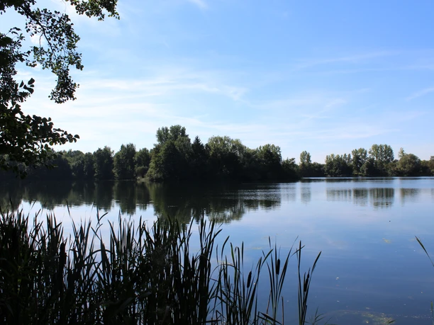 Am Haaken Werder Ruhiger See umgeben von Bäumen, leicht bewölkter Himmel, im Vordergrund Schilfgras am Ufer.
