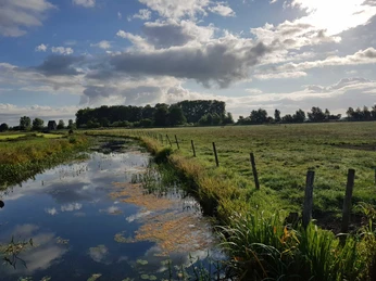 Schöpfwerk Rethbucht