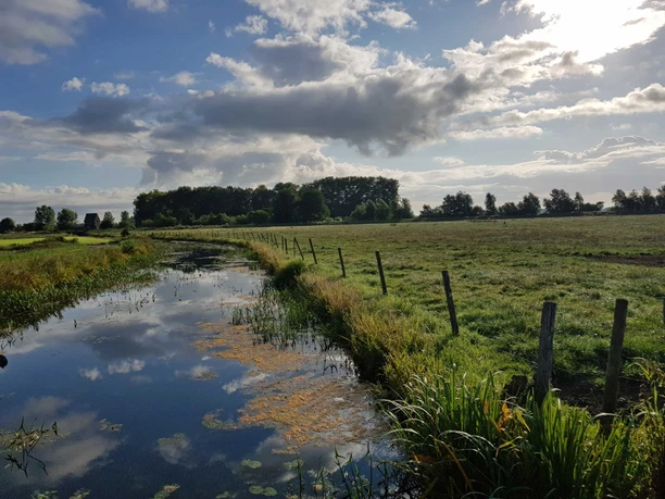 Schöpfwerk Rethbucht