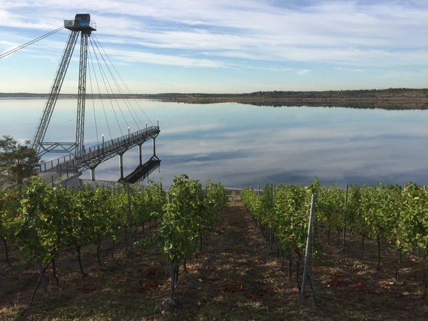 Seebrücke mit Weinberg Seebrücke mit Weinberg