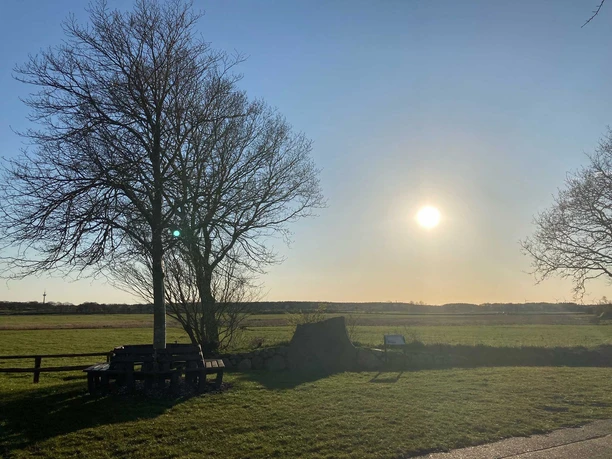 Wunderbaum Süderheistedt