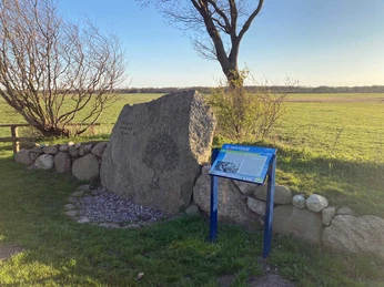 Wunderbaum Süderheistedt