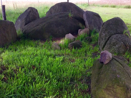 Nartumer Großsteingrab Nartumer Großsteingrab