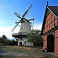 TonnenheiderHochzeitsmühle Historische Windmühle mit drehenden Flügeln, umgeben von Bäumen, neben einem roten Fachwerkgebäude.