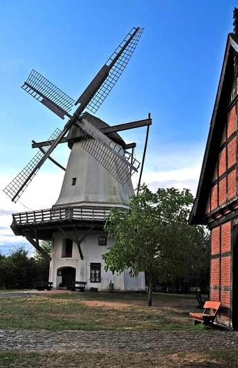 TonnenheiderHochzeitsmühle Historische Windmühle mit drehenden Flügeln, umgeben von Bäumen, neben einem roten Fachwerkgebäude.