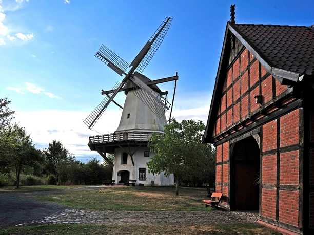 TonnenheiderHochzeitsmühle Historische Windmühle mit drehenden Flügeln, umgeben von Bäumen, neben einem roten Fachwerkgebäude.