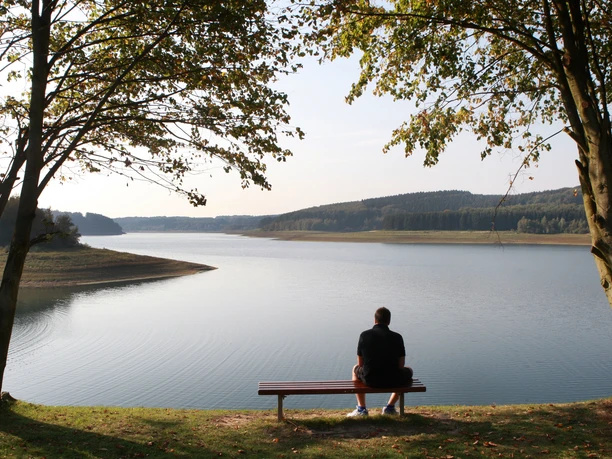 Pause an der Vorsperre Große Dhünn Ein Mann sitzt auf einer Bank, betrachtet einen ruhigen See umrahmt von Bäumen und Hügeln.