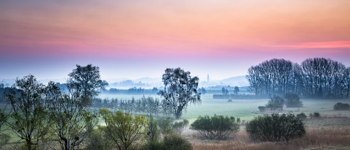 Morgenstimmung im Hepbacher Ried Morgenstimmung im Hepbacher Ried