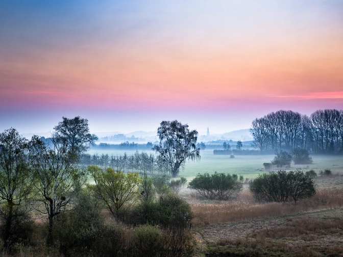 Morgenstimmung im Hepbacher Ried Morgenstimmung im Hepbacher Ried