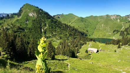 kulinarik-trail-stockhorn-oberstockensee-oberstockenalp.jpg