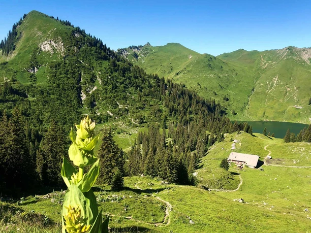 kulinarik-trail-stockhorn-oberstockensee-oberstockenalp.jpg