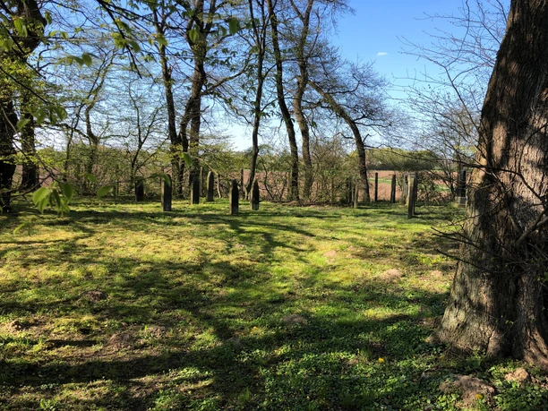 A quiet, tree-lined meadow with old gravestones, bathed in soft spring light.