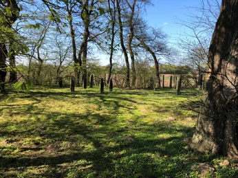 Jüdischer Friedhof Leese Eine ruhige, von Bäumen gesäumte Wiese mit alten Grabsteinen, umgeben von zartem Frühlingslicht.