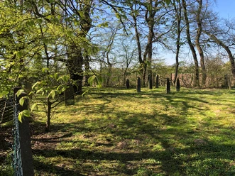 Grüne Wiese mit verstreuten alten Grabsteinen und umgebenden Bäumen unter strahlend blauem Himmel.