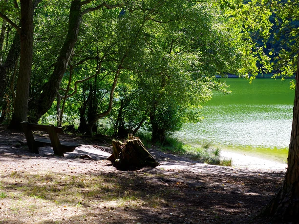 Eine Bank steht am Ufer des Pinnsees unter Bäumen.