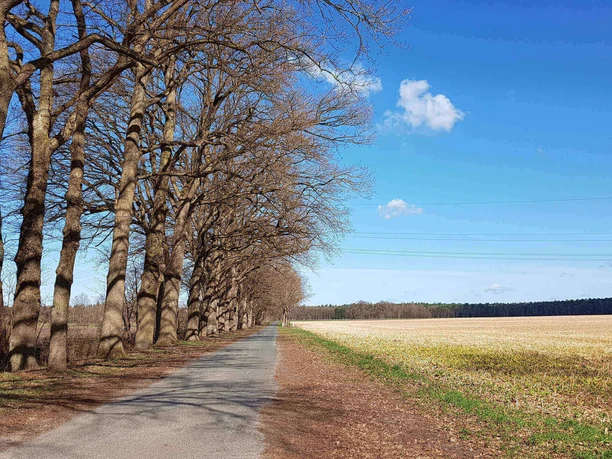 Über Feldwege führt der Radweg Über Feldwege führt der Radweg
