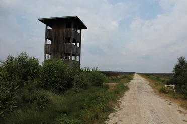 Vogelbeobachtungsturm Warmsen Holzturm mit Fenstern steht neben einem Schotterweg inmitten grüner Büsche unter bewölktem Himmel.