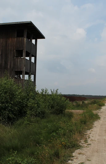 Vogelbeobachtungsturm Warmsen Holzturm mit Fenstern steht neben einem Schotterweg inmitten grüner Büsche unter bewölktem Himmel.