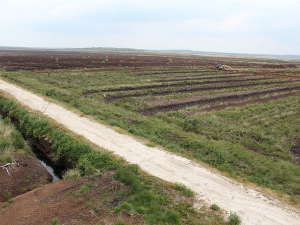 Weite Moorlandschaft mit parallel verlaufenden Torfwallen und einem Schotterweg, trügerische Wolken am Himmel.