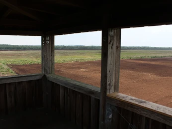 Uchter Moor Blick von einem hölzernen Aussichtsturm auf weite, ebene Moorlandschaft unter bedecktem Himmel.