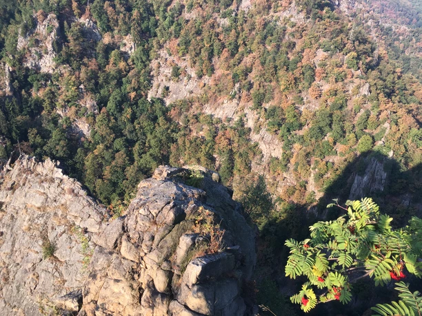 Blick von der Rosstrappe (Annalena Kolberg).jpg