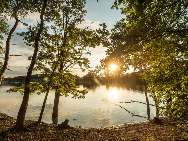 Bevertalsperre Sonnenuntergang am See, eingefasst von Bäumen, mit funkelnden Lichtreflexen auf dem Wasser.