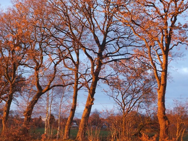 Herbst in Aurich Herbst in Aurich