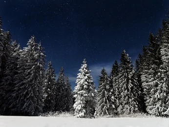 winter night Winternacht