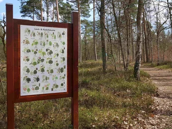 Eine Infotafel auf dem Waldlehrpfad in Ovelgönne Eine Infotafel auf dem Waldlehrpfad in Ovelgönne