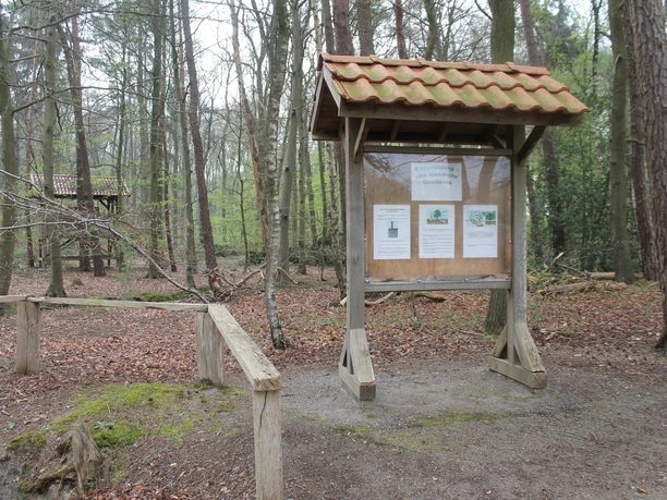Walderlebnispfad Stoverner Wald in Salzbergen ©Emsland Tourismus GmbH, Martina Alfers (2).JPG Holztafeln mit Informationstexten über Bodenbildung entlang eines Naturlehrpfads im Stoverner Wald