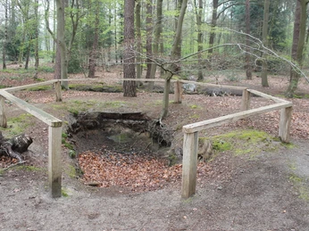 Walderlebnispfad Stoverner Wald in Salzbergen ©Emsland Tourismus GmbH, Martina Alfers (3).JPG