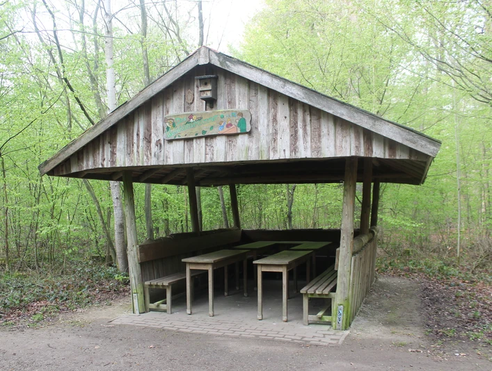 Walderlebnispfad Stoverner Wald in Salzbergen ©Emsland Tourismus GmbH, Martina Alfers (8).JPG