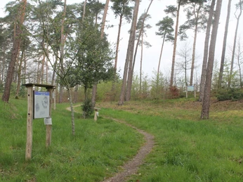Schöpfungslehrpfad Holsten-Bexten