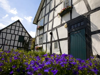 Fachwerkdorf Bruch Historisches Fachwerkhaus mit blühenden Blumenkästen und blauen Blumen im Vordergrund bei sonnigem Wetter.