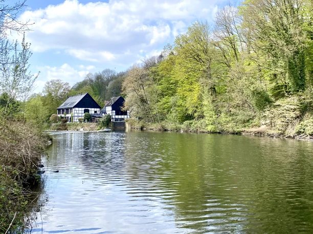 Der Wipperkotten im Frühling