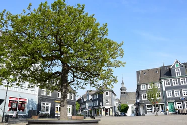 Marktplatz Große Linde auf historischem Marktplatz, umgeben von Fachwerkhäusern und städtischer Kulisse.