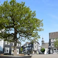 Marktplatz Große Linde auf historischem Marktplatz, umgeben von Fachwerkhäusern und städtischer Kulisse.
