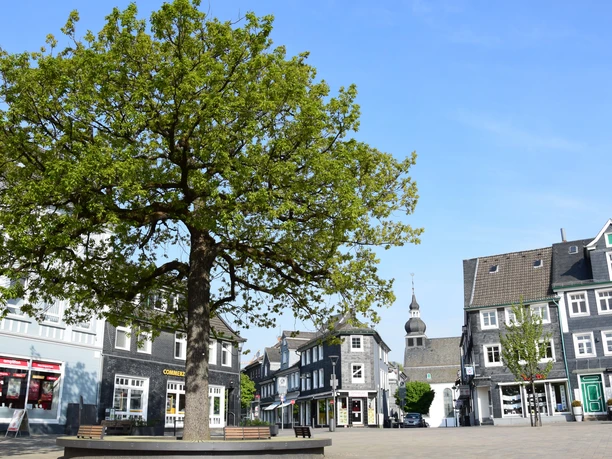 Marktplatz Große Linde auf historischem Marktplatz, umgeben von Fachwerkhäusern und städtischer Kulisse.