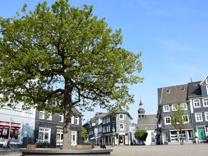 Marktplatz Große Linde auf historischem Marktplatz, umgeben von Fachwerkhäusern und städtischer Kulisse.