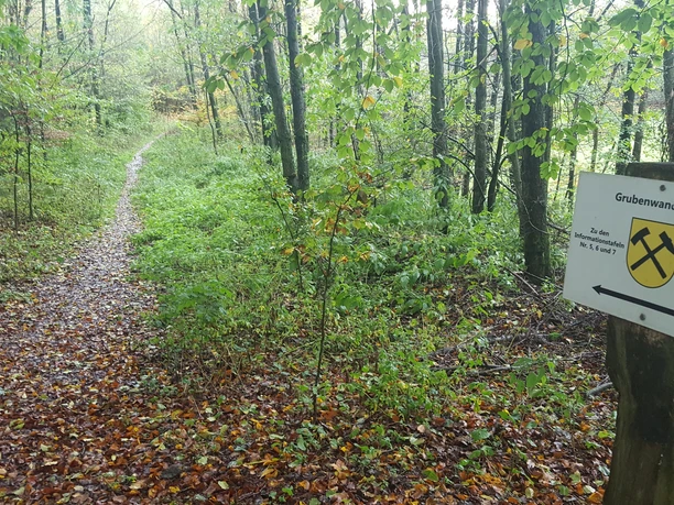 a8da64344dfbebf437336d3d1b7c2ca2cb4162399455e7837ce5d23ff93d000b Waldweg im herbstlichen Grün, mit einem Schild "Grubenwanderweg" auf der rechten Seite.