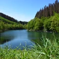 Aggertalsperre <p>Ein idyllischer Waldsee in Gummersbach, umrahmt von grünen Bäumen und klarem, blauem Himmel.</p>