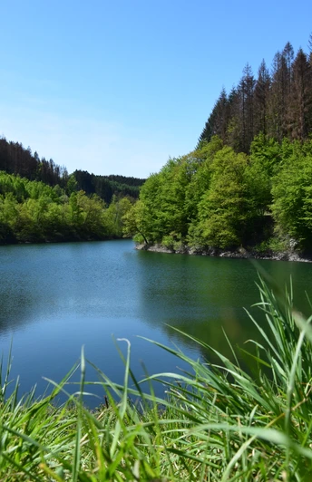 Aggertalsperre <p>Ein idyllischer Waldsee in Gummersbach, umrahmt von grünen Bäumen und klarem, blauem Himmel.</p>
