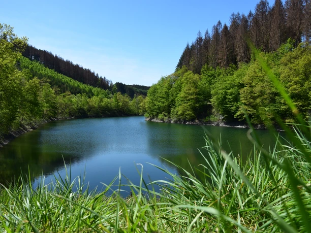 Aggertalsperre <p>Ein idyllischer Waldsee in Gummersbach, umrahmt von grünen Bäumen und klarem, blauem Himmel.</p>