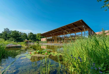 Ein moderner Wellnessbereich am klaren Badesee, umgeben von grüner Vegetation und blühenden Pflanzen.