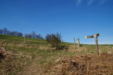 Bergischer Panoramasteig Ein grasbewachsener Wanderweg mit Wegweisern auf einem Hügel unter blauem Himmel.