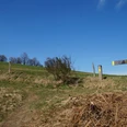 Bergischer Panoramasteig Ein grasbewachsener Wanderweg mit Wegweisern auf einem Hügel unter blauem Himmel.