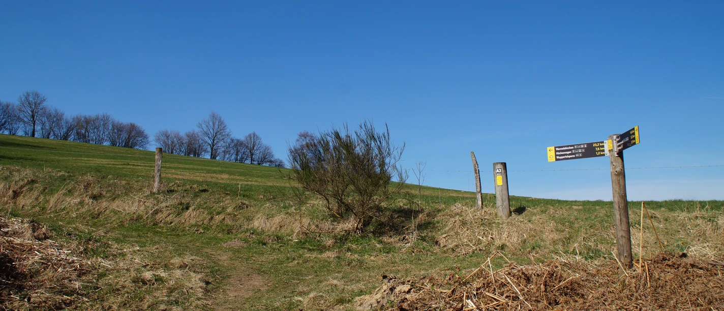 Bergischer Panoramasteig Ein grasbewachsener Wanderweg mit Wegweisern auf einem Hügel unter blauem Himmel.