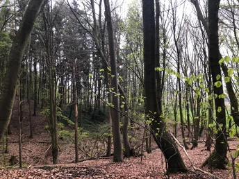 Bergkirchen - Schwöen (c) Klaudia Schneider (3).jpg