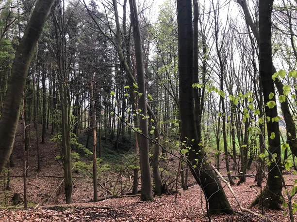 Bergkirchen - Schwöen (c) Klaudia Schneider (3).jpg