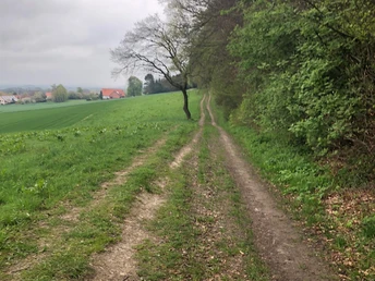 Bergkirchen - Schwöen (c) Klaudia Schneider (4).jpg